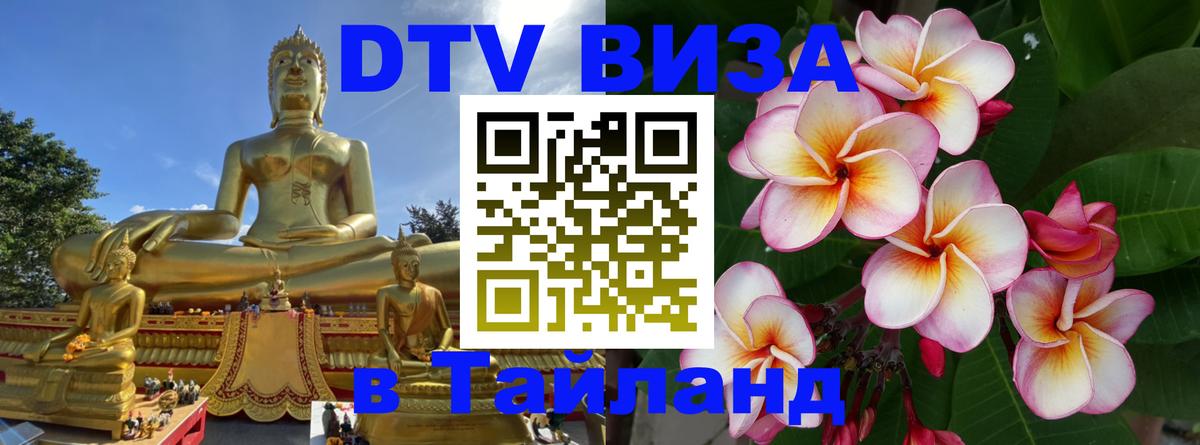 Сколько стоит DTV виза — актуальные цены, оформление даже без документов - 05.12.2025 